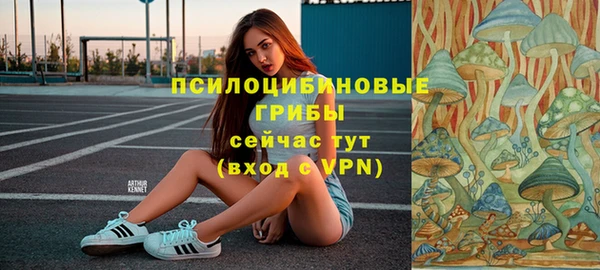 марки lsd Богданович