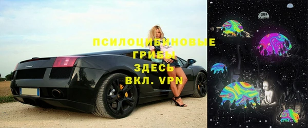 стаф Белокуриха