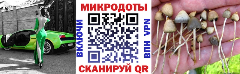 как найти закладки hydra рабочий сайт Псилоцибиновые грибы Psilocybe Кизел